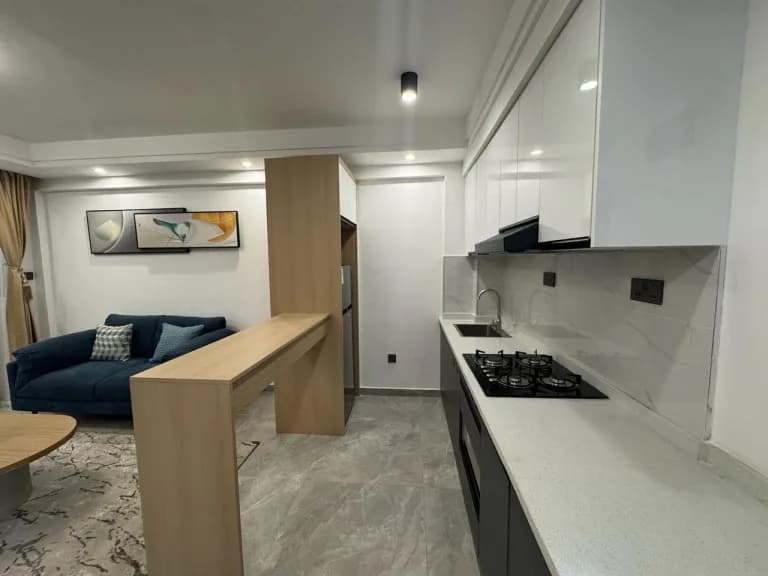 Studio Apartment For Sale in Lavington